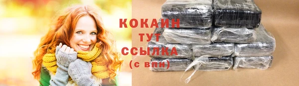 дживик Семилуки