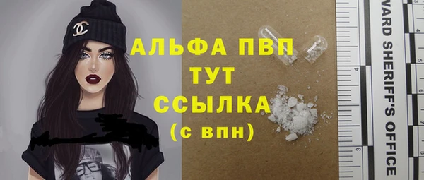 крисы Очёр