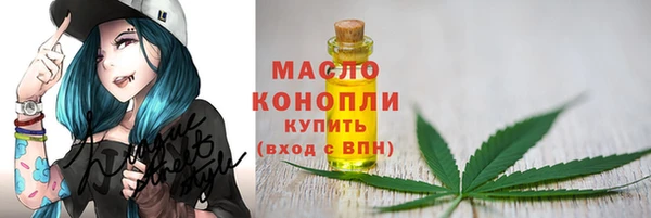 дживик Семилуки