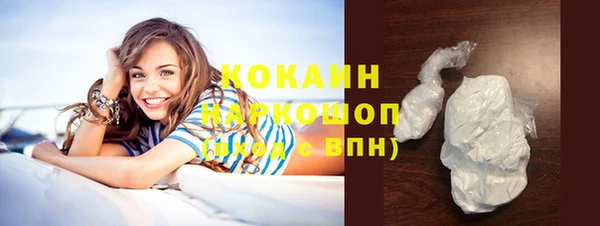 дживик Семилуки