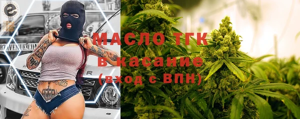 дживик Семилуки