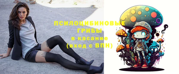дживик Семилуки