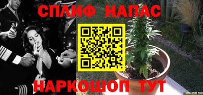 дмт Будённовск