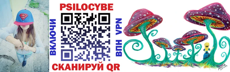 Псилоцибиновые грибы Psilocybine cubensis  Туймазы 