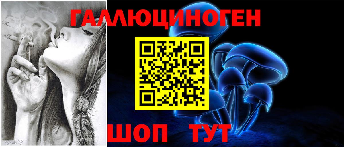 Галлюциногенные грибы Psilocybe Туймазы